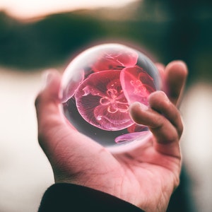 Love and Relationships